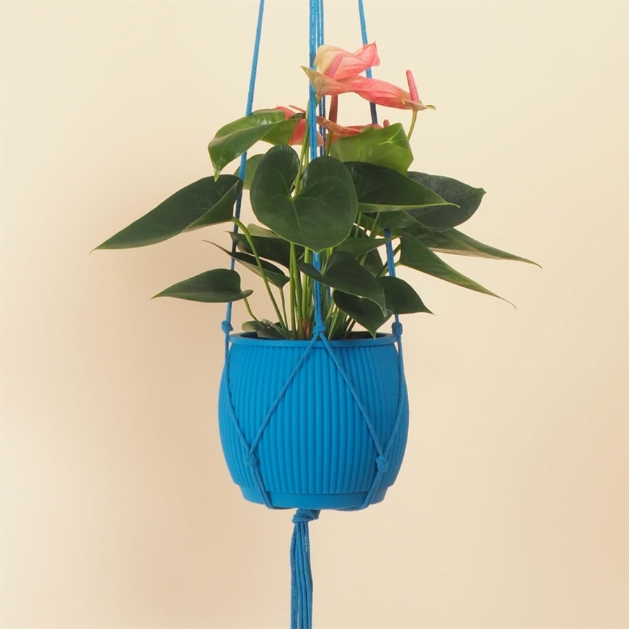 Plant hanger 120 cm. Royal blue